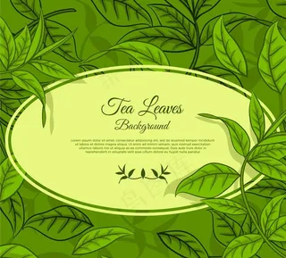 手绘绿色茶叶图片