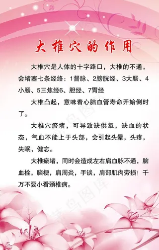 大椎穴的作用图片