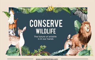 动物森林展板图片