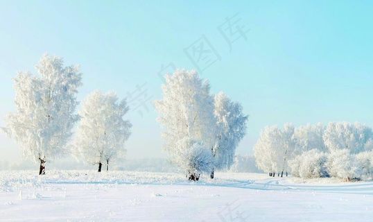 雪景图片