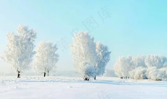 雪景图片 雪景图片