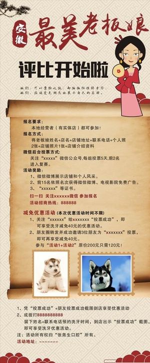 选美评比比赛展架图片