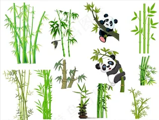 竹子 竹 富贵竹 竹子素材图片