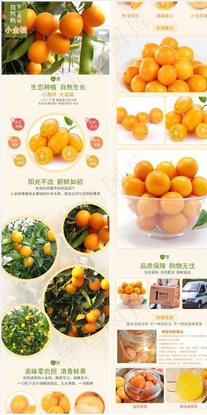 电商淘宝云南小金桔详情页图片
