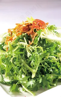 丁香鱼拌苦菊图片 丁香鱼拌苦菊图片