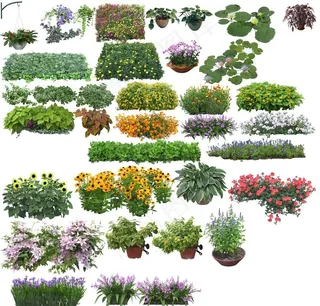 花草效果图素材图片