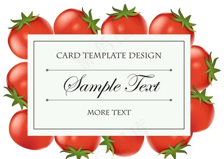 番茄 蔬菜 水果图片