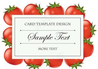 番茄 蔬菜 水果图片