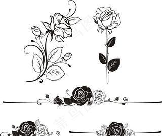 矢量玫瑰花图片