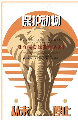 保护动物图片
