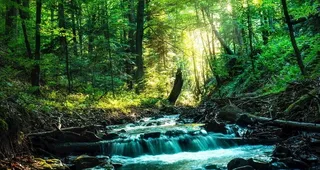 深山流水摄影图图片