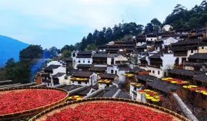 婺源篁岭风景区晒秋图片