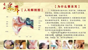 采耳图片
