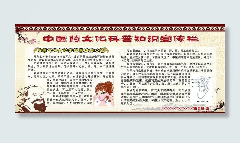 中医药文化科普知识宣传栏图片cdr矢量模版下载