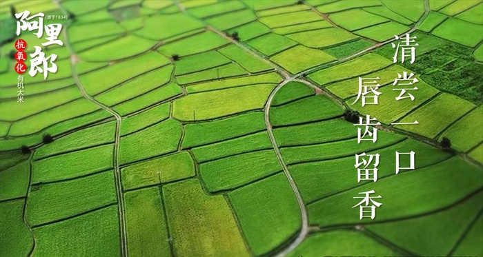 大米图片(1920X1080(DPI:72))psd模版下载