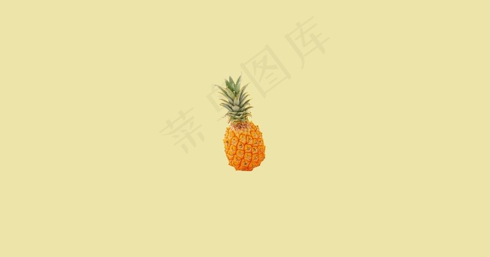 简约菠萝电脑壁纸图片