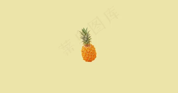 简约菠萝电脑壁纸图片 简约菠萝电脑壁纸图片