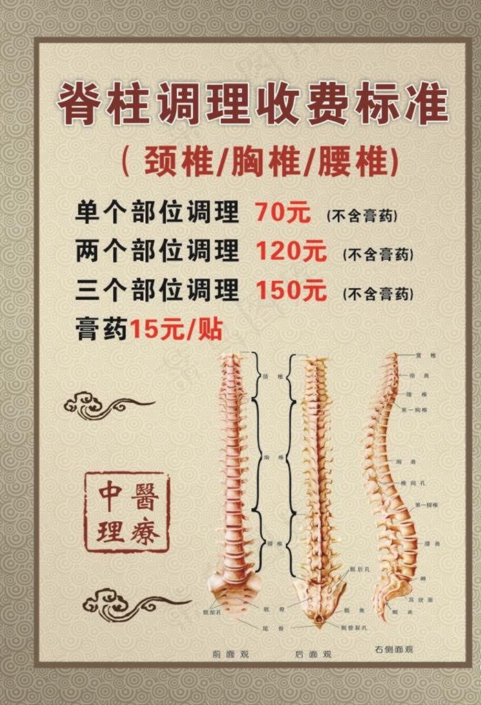 脊柱图片cdr矢量模版下载
