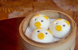 猪仔奶黄菜鸟图库片