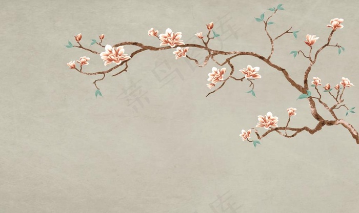 玉兰花鸟图片(9071X5669(DPI:72))psd模版下载