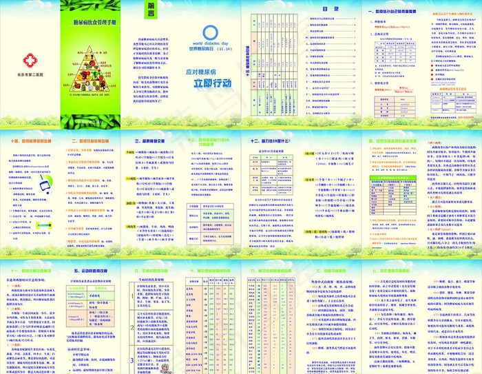 糖尿病饮食管理手册图片cdr矢量模版下载