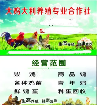 养鸡厂名片图片