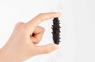 手拿淡干海参图片