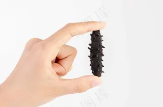 手拿淡干海参图片