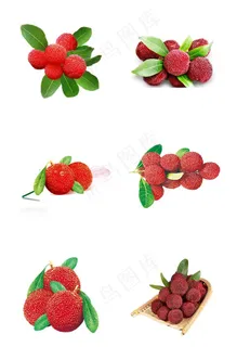 杨梅图片 杨梅图片