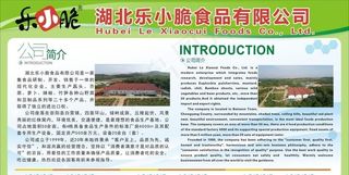 企业展板 食品公司 公司简介图片