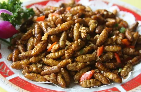 爆炒蚕蛹近照图片 爆炒蚕蛹近照图片