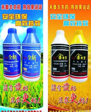 金农宝禾苗图片