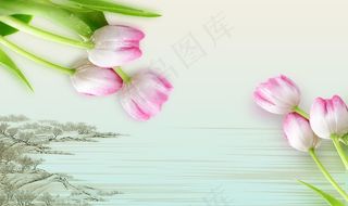 郁金香背景墙图片