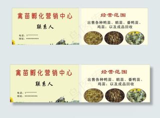 禽苗孵化厂名片图片