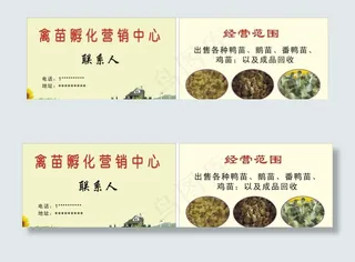 禽苗孵化厂名片图片