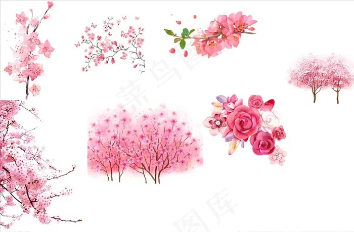 粉色花卉系列图片