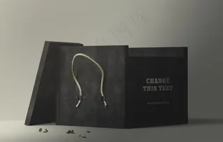 木盒包装样机图片