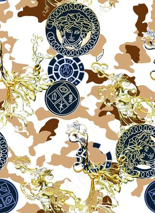 数码印花 大牌 范思哲图片