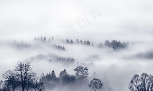 云雾森林风景意境风景背景墙壁画图片