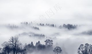 云雾森林风景意境风景背景墙壁画图片