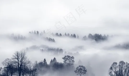 云雾森林风景意境风景背景墙壁画图片 云雾森林风景意境风景背景墙壁画图片