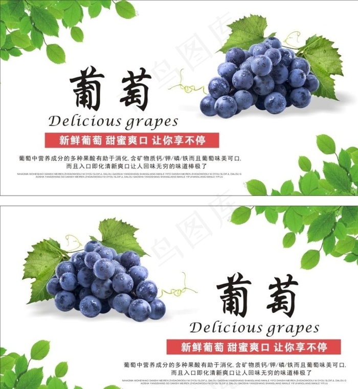 葡萄图片