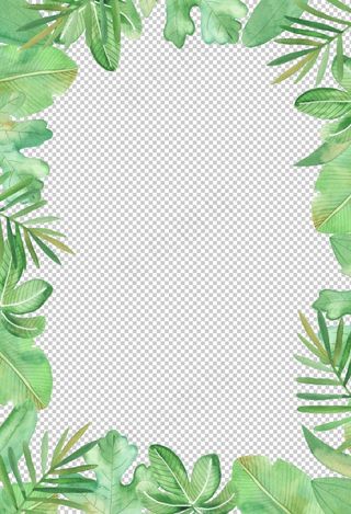 植物花朵装饰边框图片