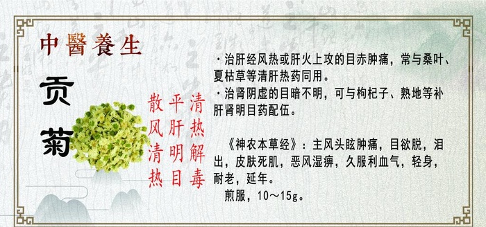 中医养生 贡菊图片(2126X1063(DPI:300))psd模版下载