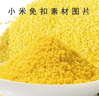 小米素材免扣图片 小米素材免扣图片