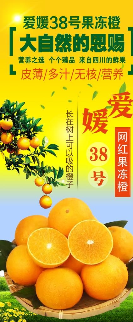 爱媛38号图片(2268X5102(DPI:72))psd模版下载