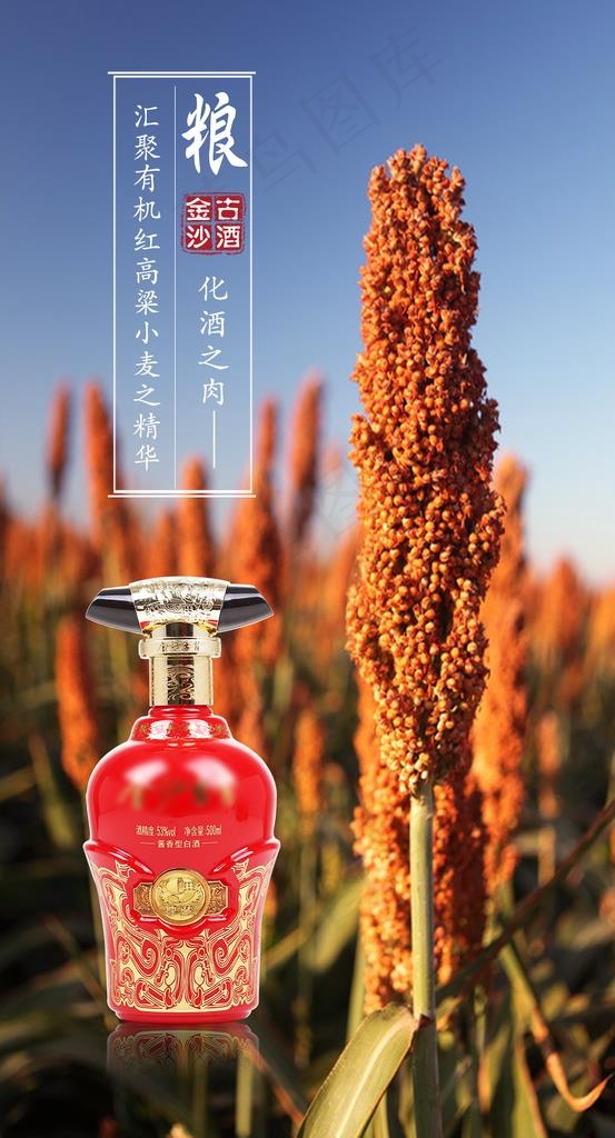 高粱图片