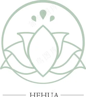 荷花 花瓣 白描 线条 拼接图片