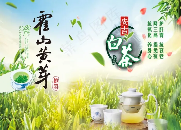 霍山黄芽图片(5669X4252(DPI:72))psd模版下载