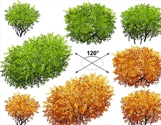 矢量景观树图片